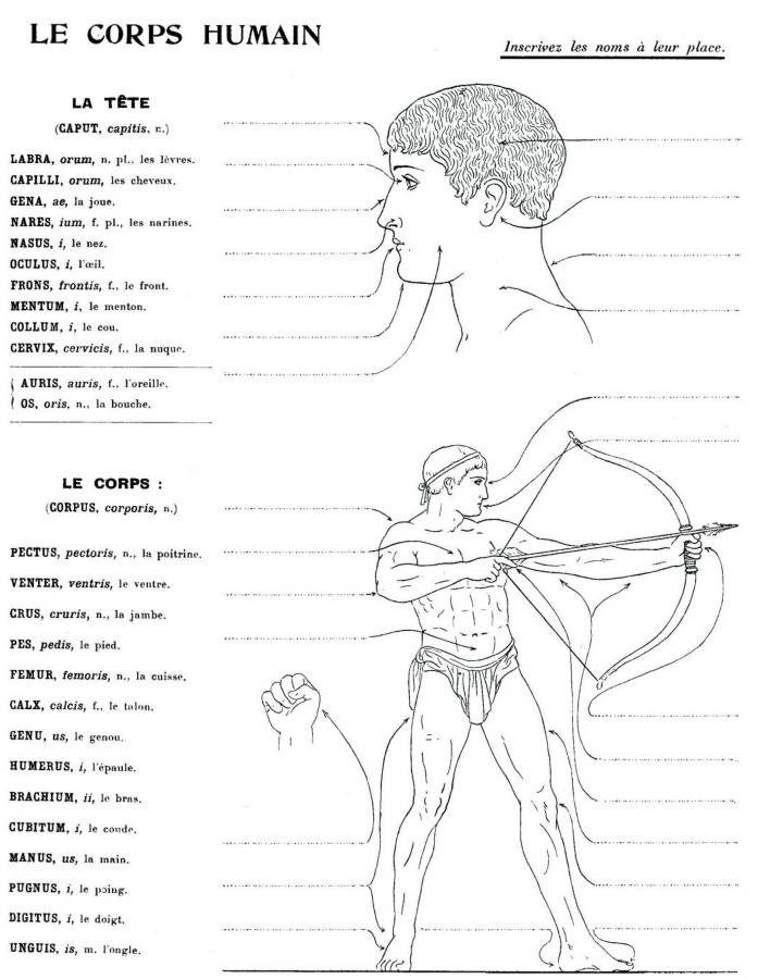 Schema - le corps humain - a completer.jpg